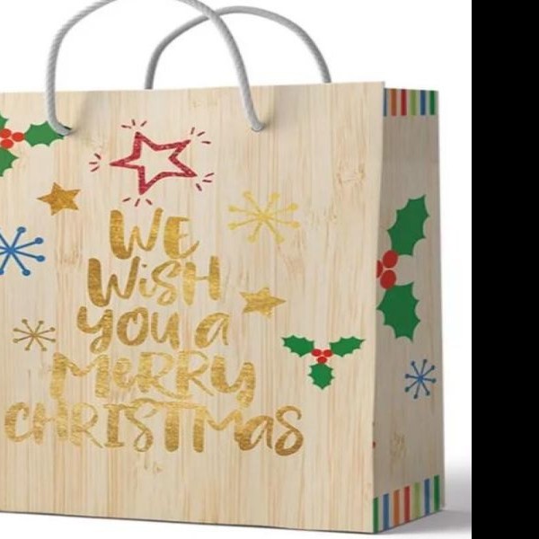 BOLSA GDE. SLIC. NAV. DIPAK E.10 C.100